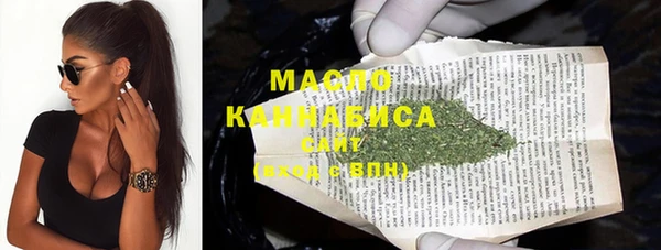гашик Дмитров