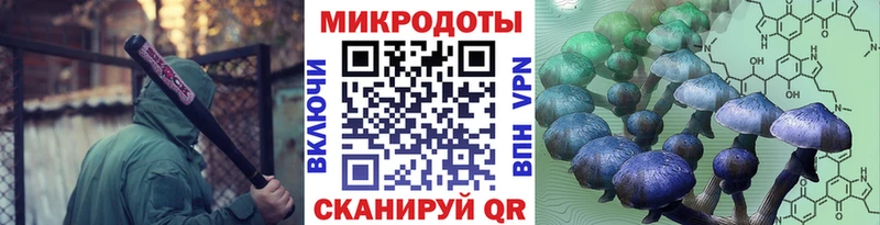 Галлюциногенные грибы ЛСД купить Болотное